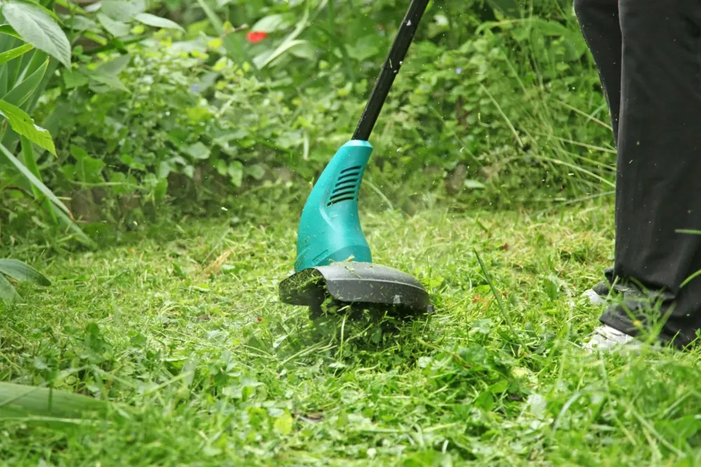 Débroussaillage à Le Chêne