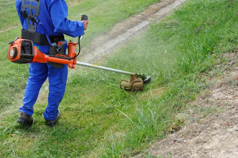 Débroussaillage de terrains