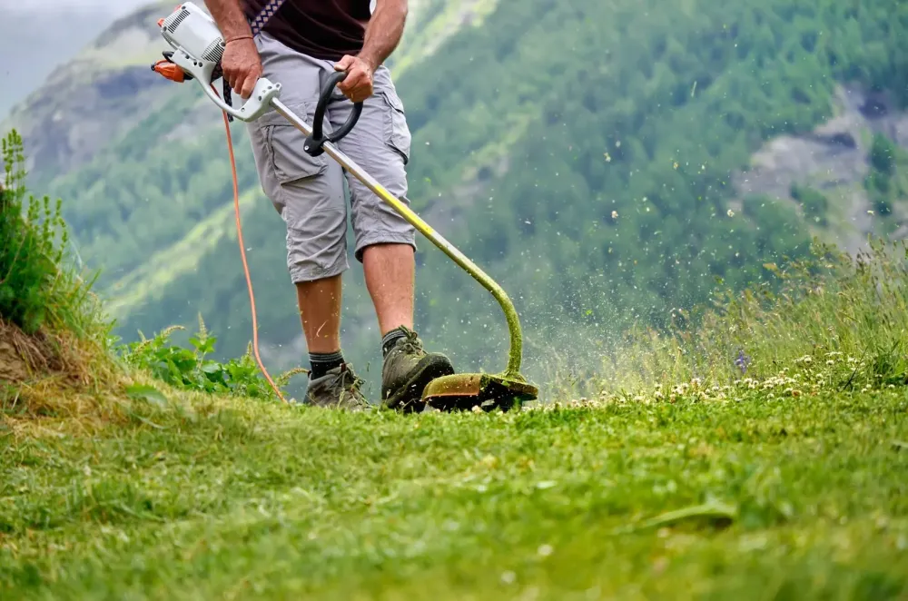 Service débroussaillage